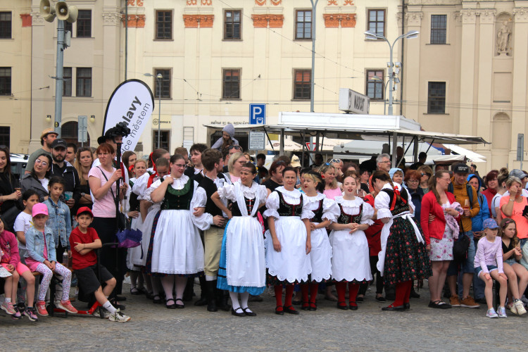 Májové slavnosti a zaplétání máje v Jihlavě