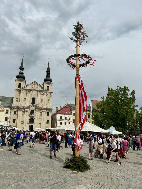 Májové slavnosti a zaplétání máje v Jihlavě