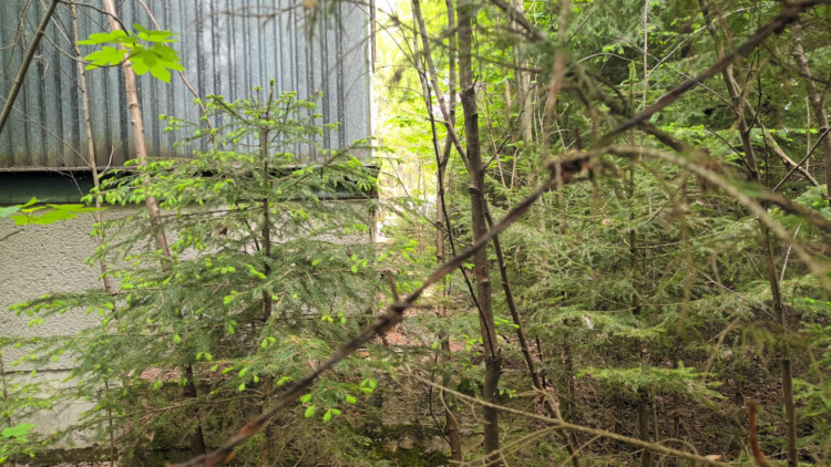 FOTOGALERIE: Nebezpečné kadmiové odpady u Vikantic na Šumpersku