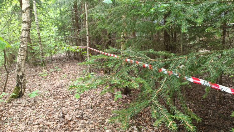 FOTOGALERIE: Nebezpečné kadmiové odpady u Vikantic na Šumpersku