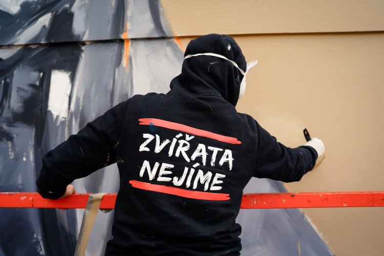 FOTOGALERIE: V Holešovicích vzniká nový mural, připomene Miladu Horákovou