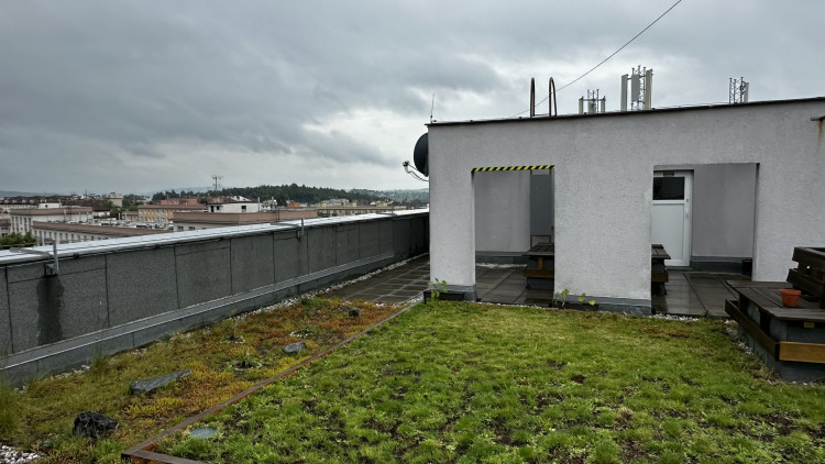 FOTOGALERIE: Zelená střecha na paneláku v Plzni