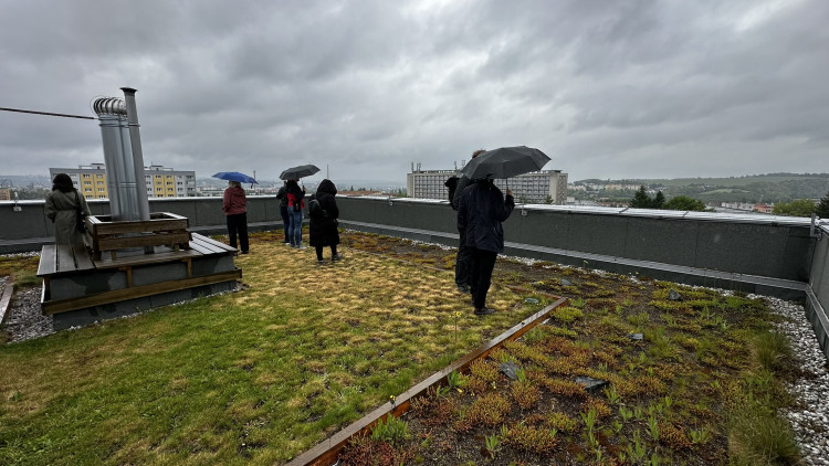 FOTOGALERIE: Zelená střecha na paneláku v Plzni