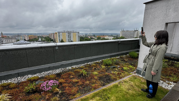 FOTOGALERIE: Zelená střecha na paneláku v Plzni