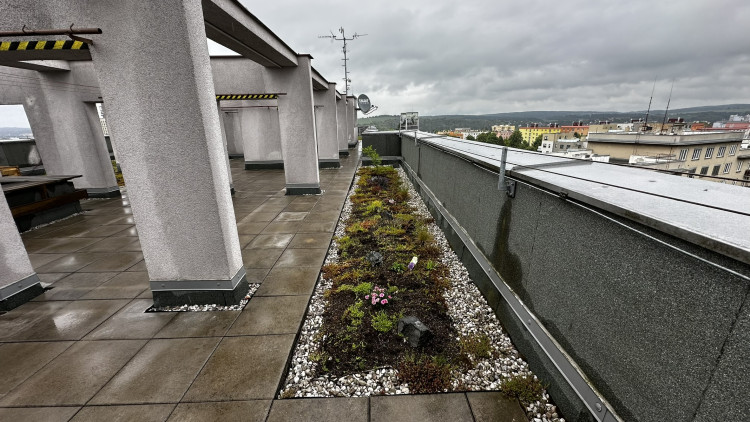 FOTOGALERIE: Zelená střecha na paneláku v Plzni