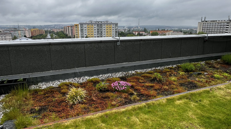 FOTOGALERIE: Zelená střecha na paneláku v Plzni