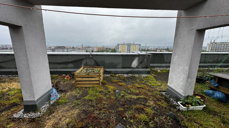 FOTOGALERIE: Zelená střecha na paneláku v Plzni