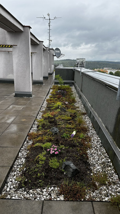 FOTOGALERIE: Zelená střecha na paneláku v Plzni