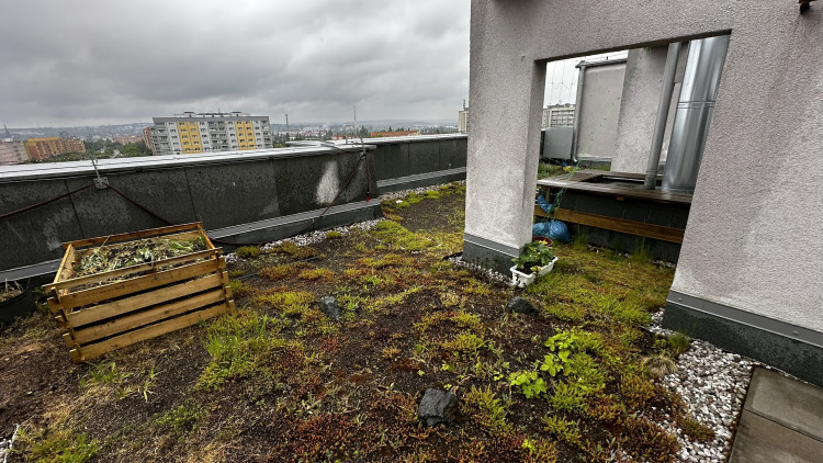 FOTOGALERIE: Zelená střecha na paneláku v Plzni