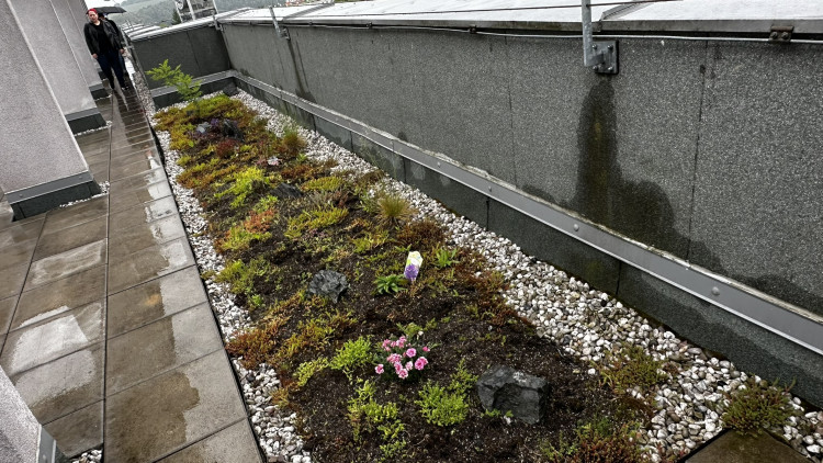 FOTOGALERIE: Zelená střecha na paneláku v Plzni