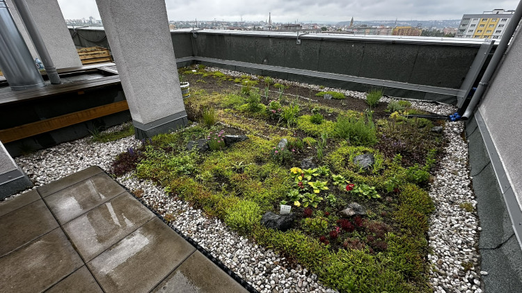 FOTOGALERIE: Zelená střecha na paneláku v Plzni