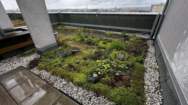 FOTOGALERIE: Zelená střecha na paneláku v Plzni