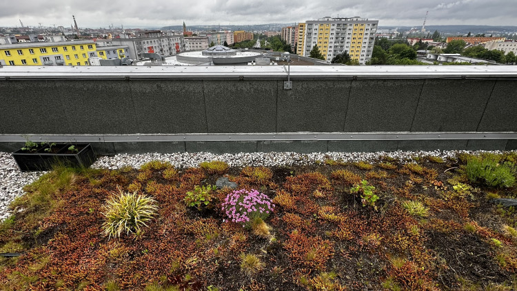 FOTOGALERIE: Zelená střecha na paneláku v Plzni