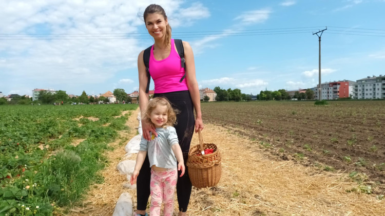 FOTOGALERIE: Jahodové pole u Prostějova obsadili sběrači
