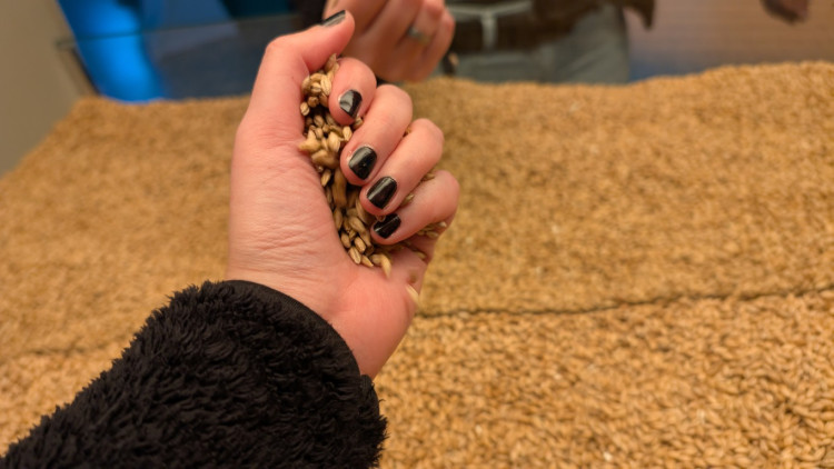 Nová expozice v Plzeňském Prazdroji