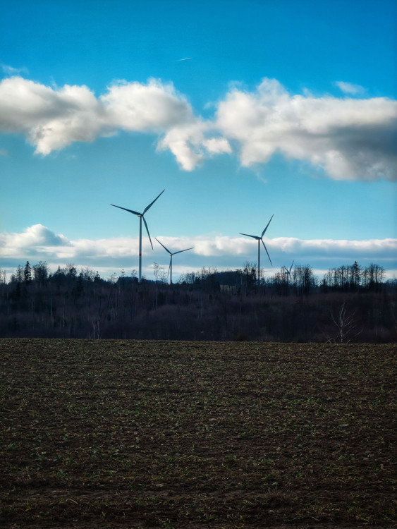 FOTOGALERIE: Nenáročný okruh s vyhlídkou na skalním útvaru Malý Rabštýn