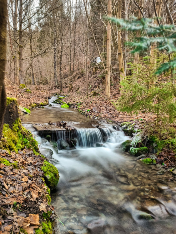 FOTOGALERIE: Nenáročný okruh s vyhlídkou na skalním útvaru Malý Rabštýn
