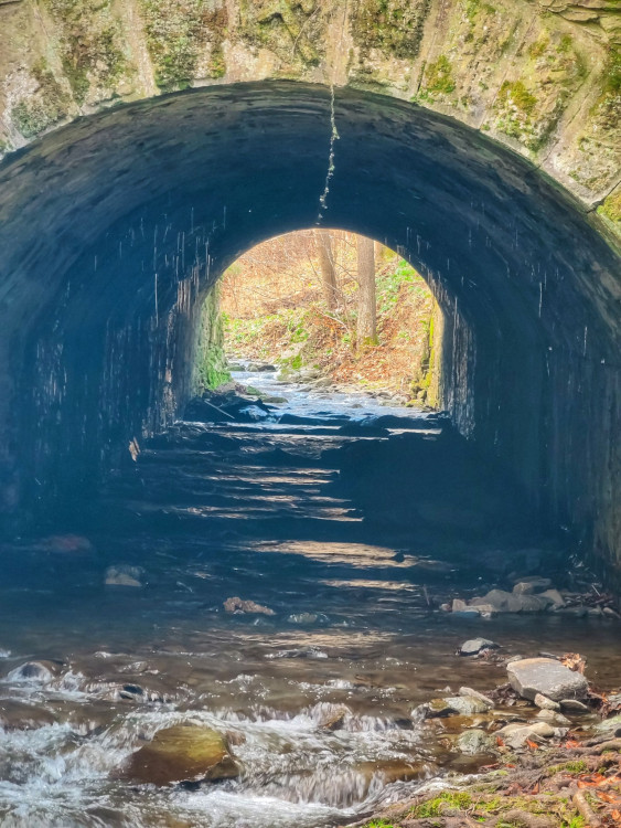 FOTOGALERIE: Nenáročný okruh s vyhlídkou na skalním útvaru Malý Rabštýn