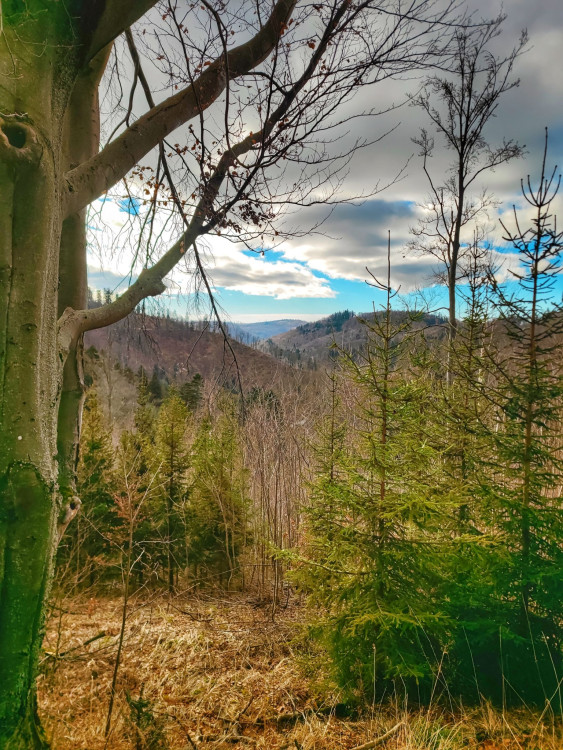 FOTOGALERIE: Nenáročný okruh s vyhlídkou na skalním útvaru Malý Rabštýn