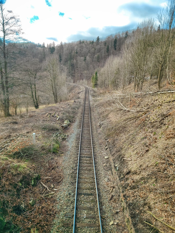 FOTOGALERIE: Nenáročný okruh s vyhlídkou na skalním útvaru Malý Rabštýn