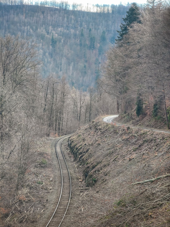 FOTOGALERIE: Nenáročný okruh s vyhlídkou na skalním útvaru Malý Rabštýn