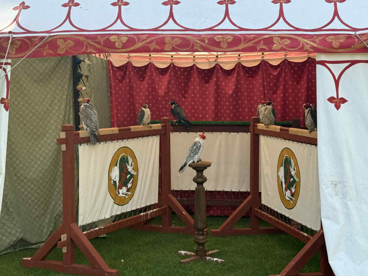 Plzeň si připomněla 730 let od svého založení