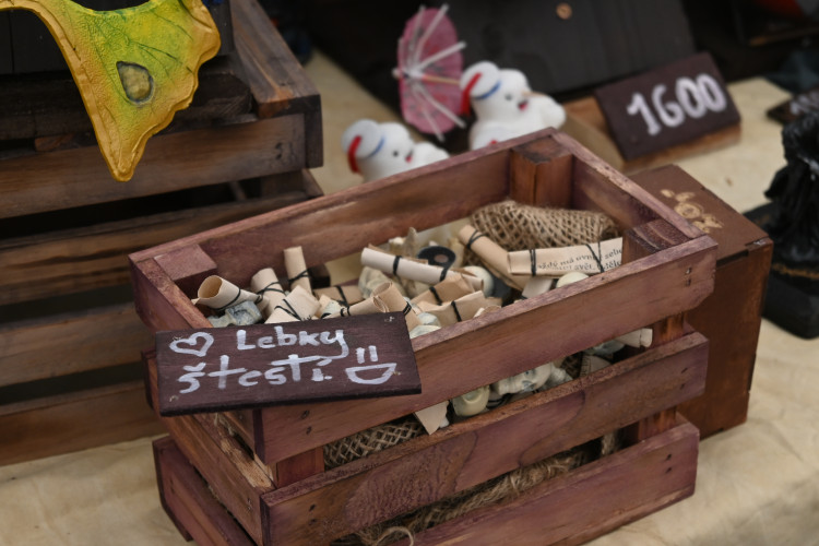 Festival CO.CON ovládli fanoušci v kostýmech, podívejte se na ty nejpovedenější