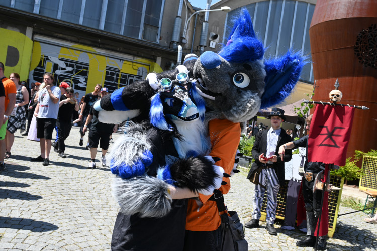 Festival CO.CON ovládli fanoušci v kostýmech, podívejte se na ty nejpovedenější