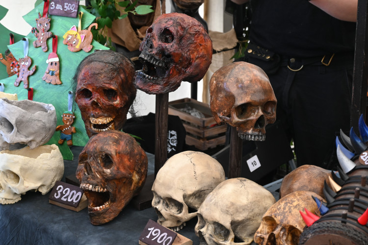 Festival CO.CON ovládli fanoušci v kostýmech, podívejte se na ty nejpovedenější