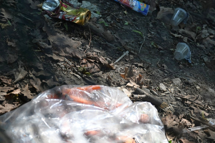 Papírenský park čeká na revitalizaci