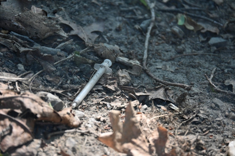 Papírenský park čeká na revitalizaci