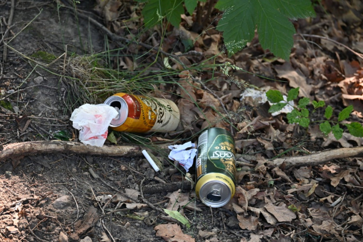 Papírenský park čeká na revitalizaci