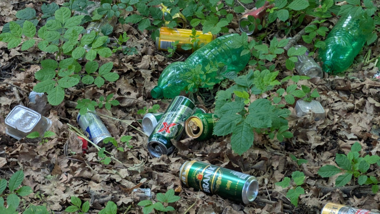 Papírenský park čeká na revitalizaci