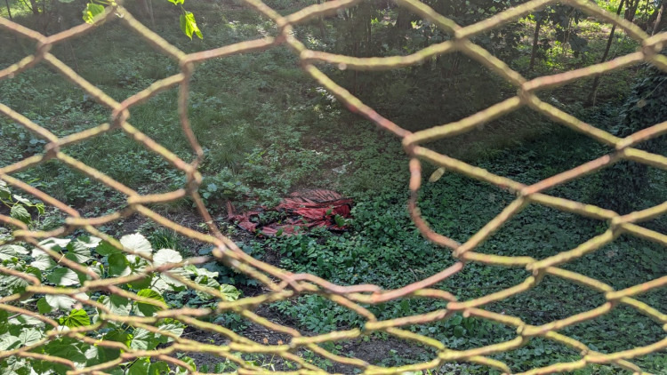 Papírenský park čeká na revitalizaci