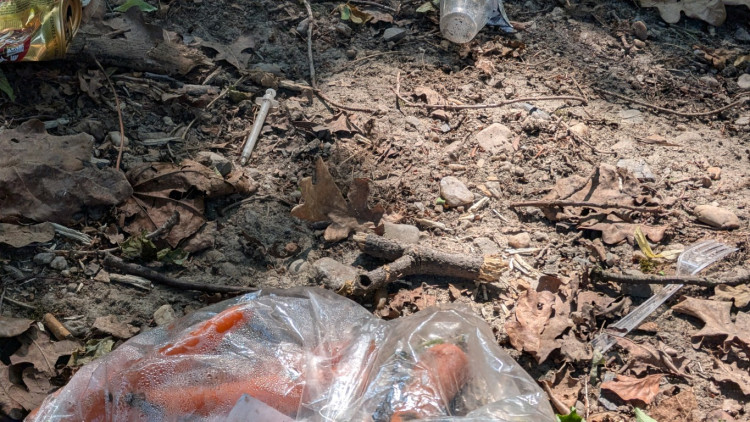 Papírenský park čeká na revitalizaci