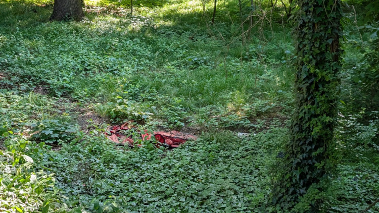 Papírenský park čeká na revitalizaci