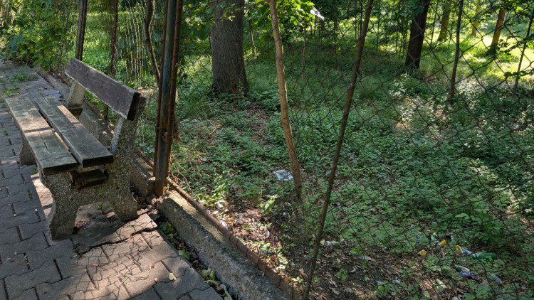 Papírenský park čeká na revitalizaci