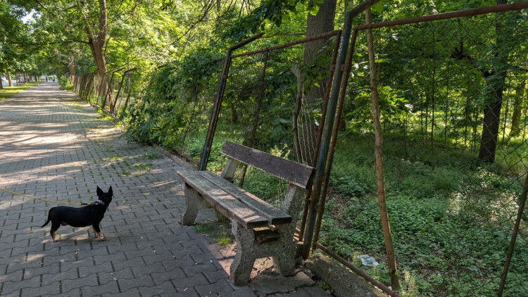 Papírenský park čeká na revitalizaci