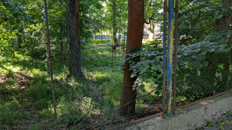 Papírenský park čeká na revitalizaci