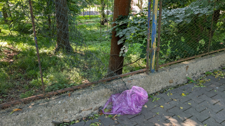 Papírenský park čeká na revitalizaci