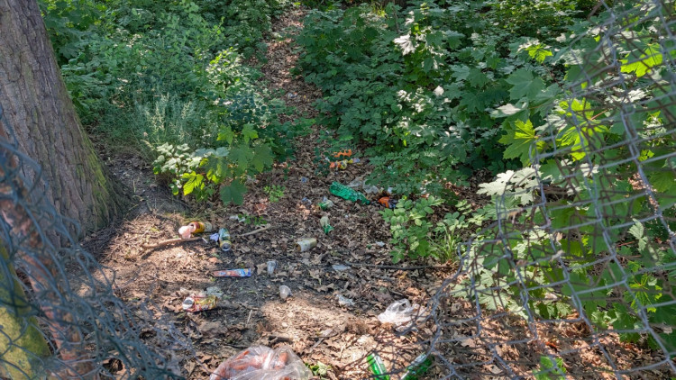 Papírenský park čeká na revitalizaci