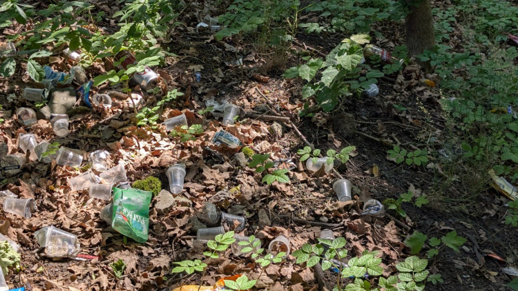 Papírenský park čeká na revitalizaci