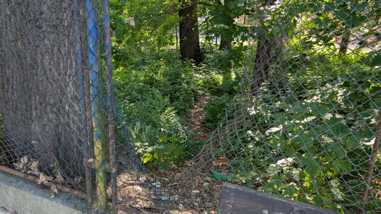 Papírenský park čeká na revitalizaci