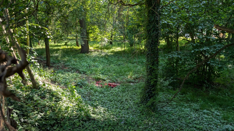 Papírenský park čeká na revitalizaci