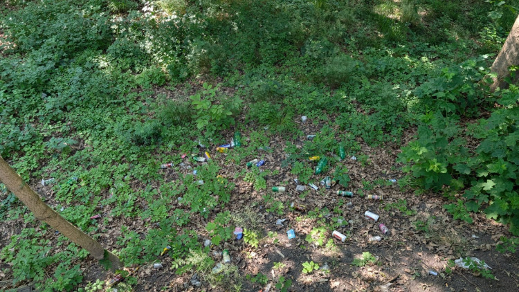 Papírenský park čeká na revitalizaci