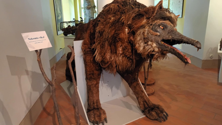 FOTOGALERIE: Zámek v Čechách pod Kosířem otevřel obnovenou expozici Zdeňka a Jana