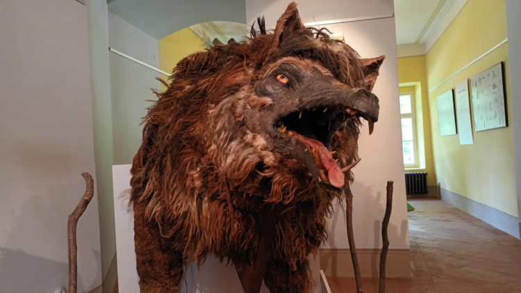 FOTOGALERIE: Zámek v Čechách pod Kosířem otevřel obnovenou expozici Zdeňka a Jana