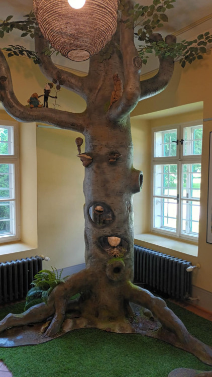 FOTOGALERIE: Zámek v Čechách pod Kosířem otevřel obnovenou expozici Zdeňka a Jana