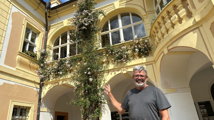 Na zámku v Nebílovech rozkvetly slavné růže