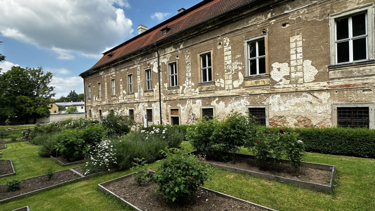 Na zámku v Nebílovech rozkvetly slavné růže